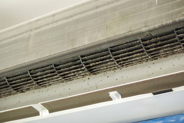 Best Home Air Vent Cleaning  in Buchanan, NY